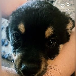 Meet your Posher, Ethan